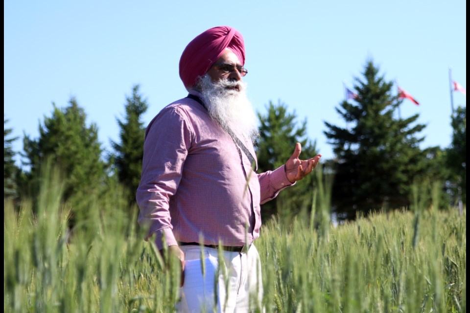 Tarlok Singh Sahota, director of the Agricultural Research Station, leads the annual summer tour on Tuesday. (Photos by Doug Diaczuk - Tbnewswatch.com). 