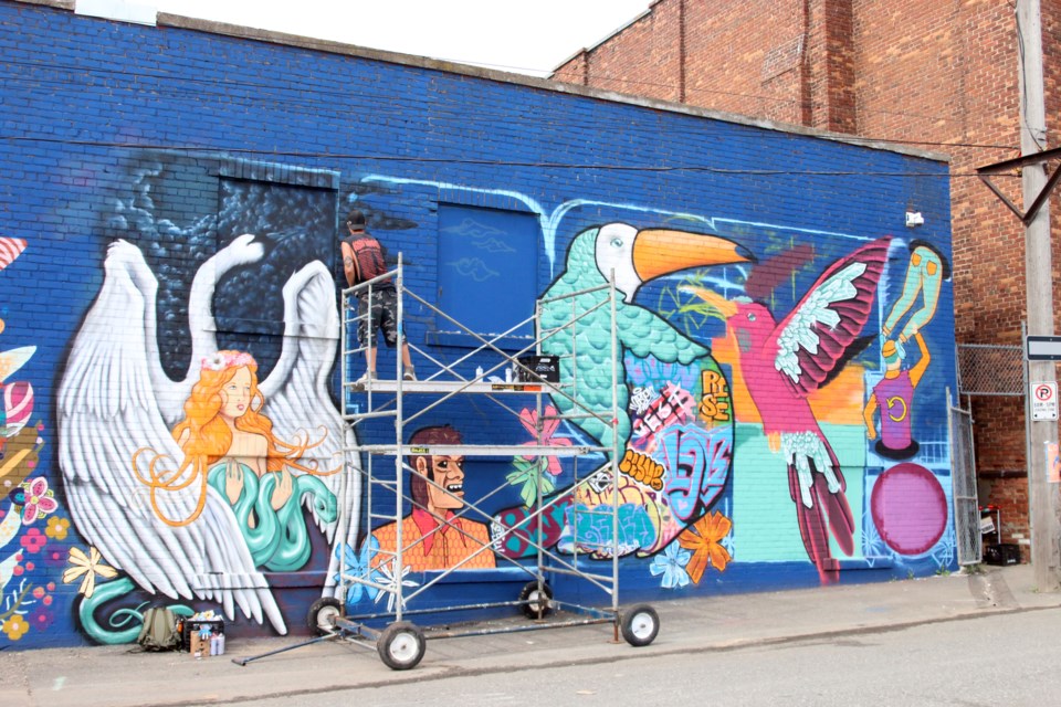 The city's first graffiti alley will be unveiled during the Lost and Found Art Festival this Saturday on Cooke Street. (Photos by Doug Diaczuk - Tbnewswatch.com). 