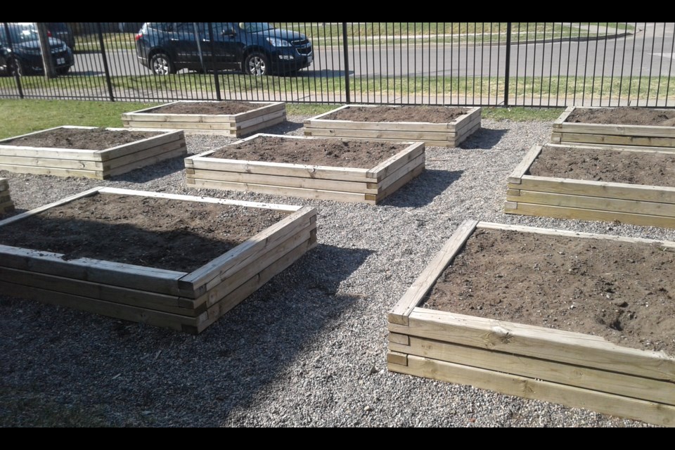 The community garden at St. Jude School in Thunder Bay (EcoSuperior photo)