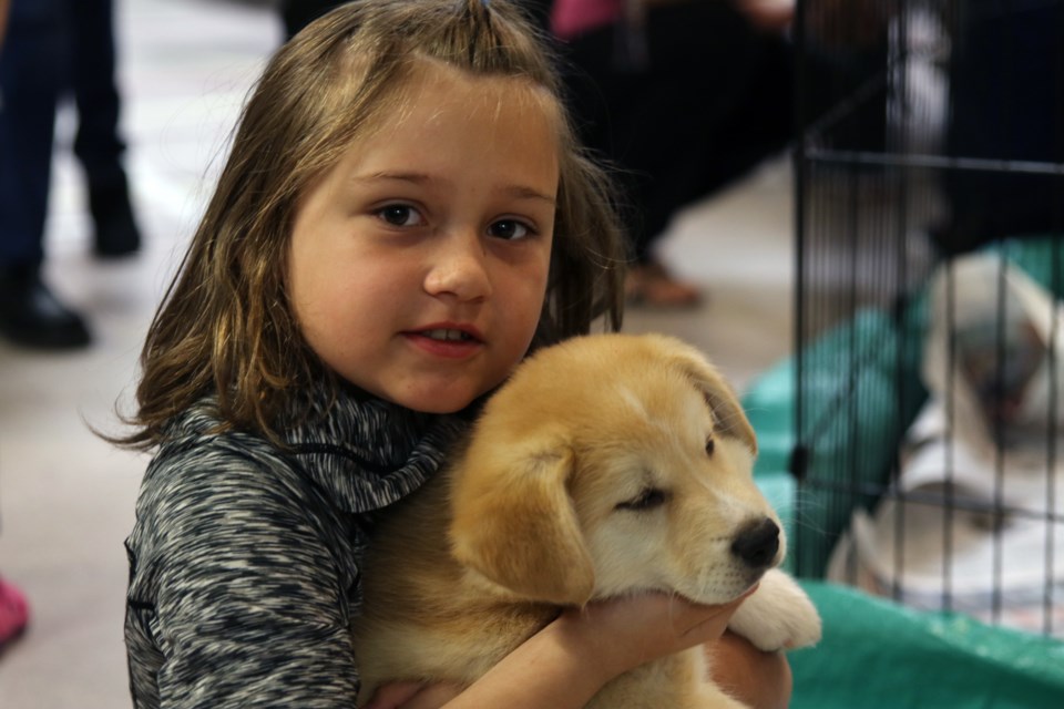 Madison Kuster poses with a rescue pup. (Michael Charlebois / tbnewswatch)