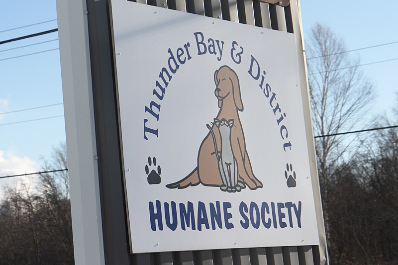 Thunder Bay and District Humane Society