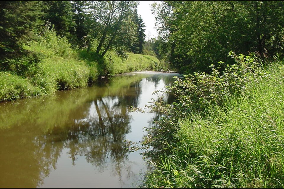 Neebing River near end of Neebing Ave. (LRCA)                               