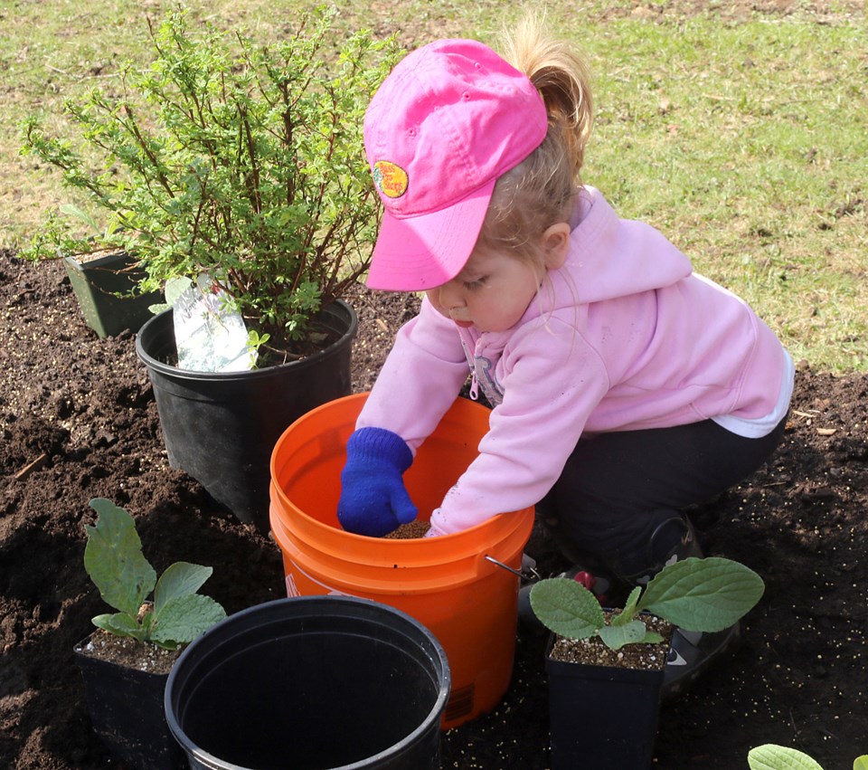 Planting