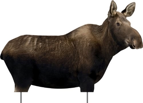 Moose decoy