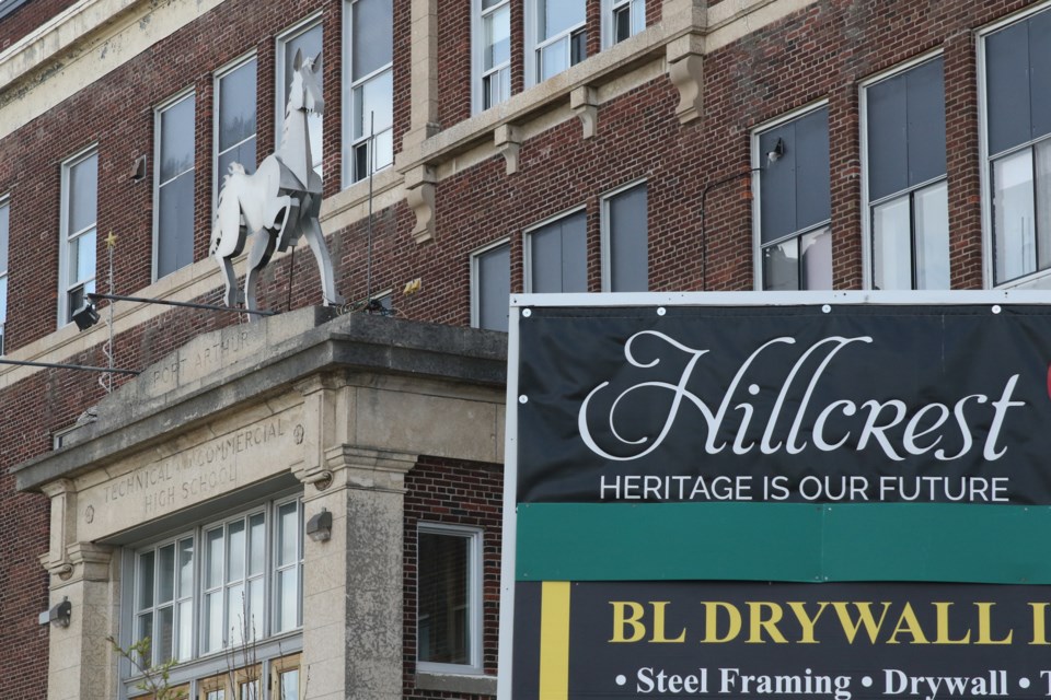 The removal of the distinguished Hillcrest colt is becoming a local topic of controversy. (Michael Charlebois / tbnewswatch)