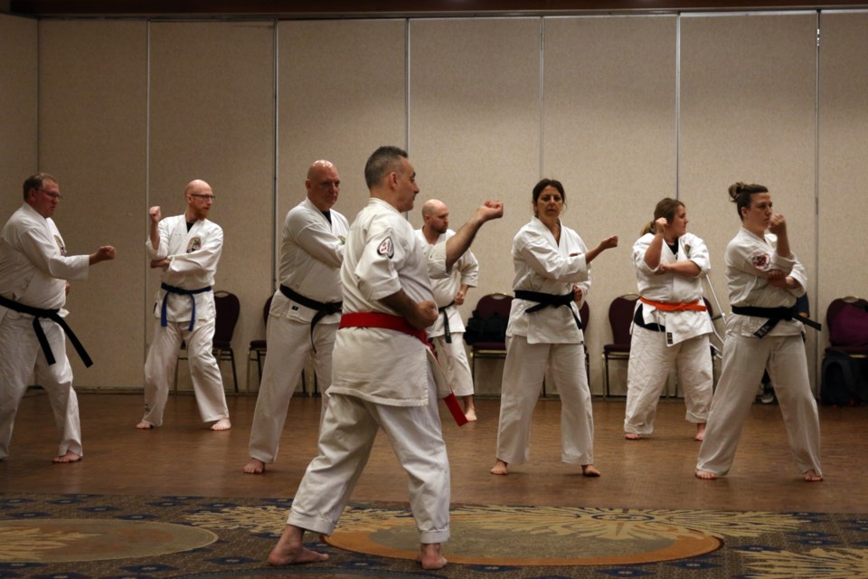 More than 100 athletes participated in this year's expo, with seminars taught by more than 20 experts. 