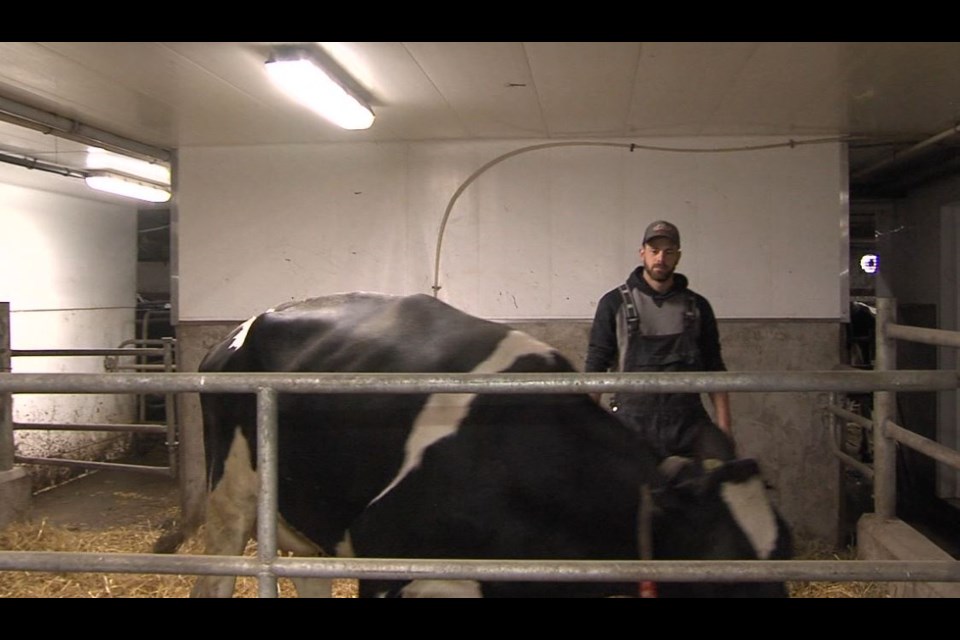 Ben Breukelman says some farmers will hold back on expansion plans because of the trade deal (tbnewswatch.com)