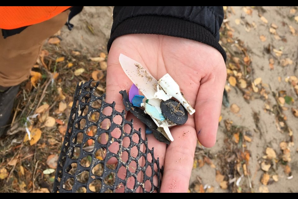 Students were surprised by the amount of plastic on the Chippewa Park beach (supplied photo)