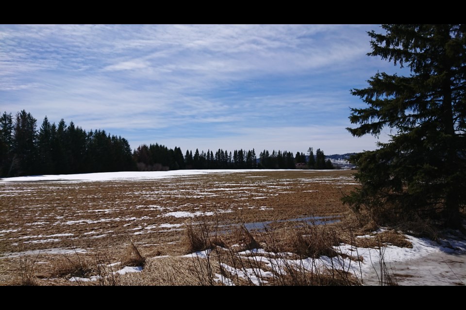 A Neebing landowner proposes to build a multi-service clinic at Highway 61 and Boundary Drive (Alana Pickrell/TBTV)