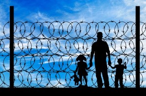 refugee graphic