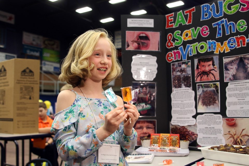 Envy Atwood shows off lollipops with insects inside as part of her science fair display about how eating insects can save the environment during the Northwestern Ontario Regional Science Fair. (Photos by Doug Diaczuk - Tbnewswatch.com). 