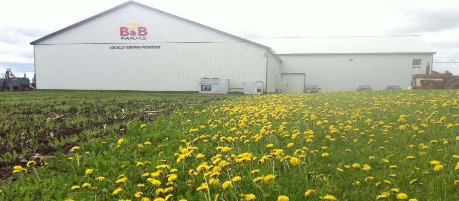 B & B Farms is located just west of Thunder Bay on Highway 11-17 (Facebook/B & B Farms photos)