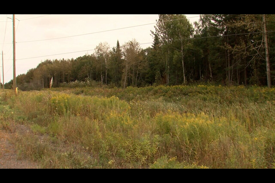 The preferred site for the nursing home is near the end of Little Lake Rd., a few blocks east of the community centre and the arena (Ryan Bonazzo/TBTV photo)