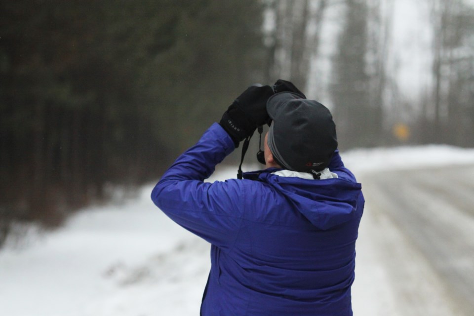 Christmas Bird Count 2