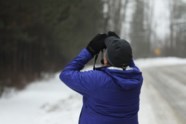 All Eyes On The Birds NWONewsWatch