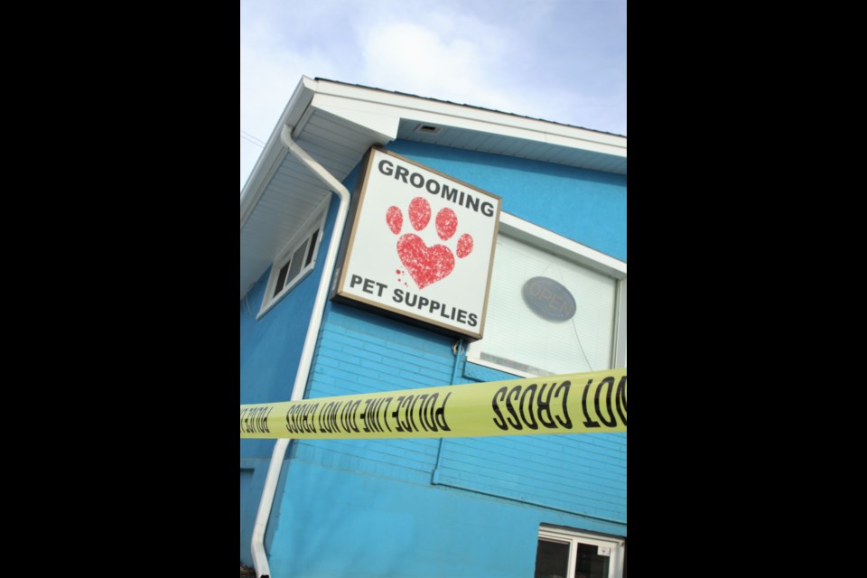 Thunder Bay Police investigate an incident at Pet-Tastic on High Street Saturday afternoon.