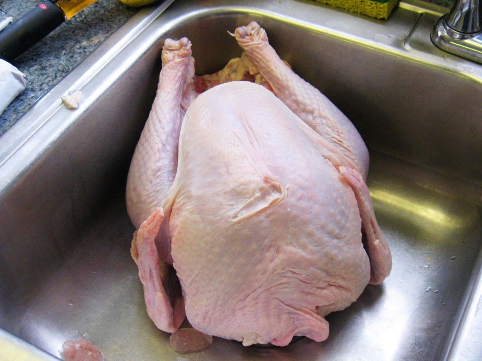 raw turkey one