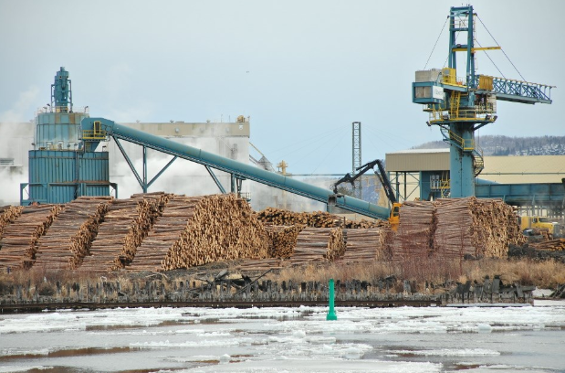 Resolute sawmill Thunder Bay