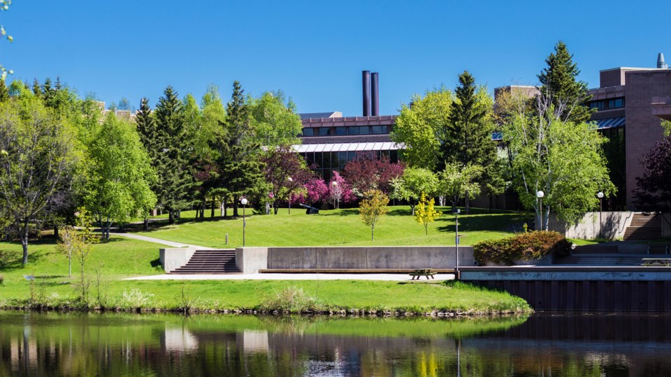 Lakehead University...Lake Tamblyn