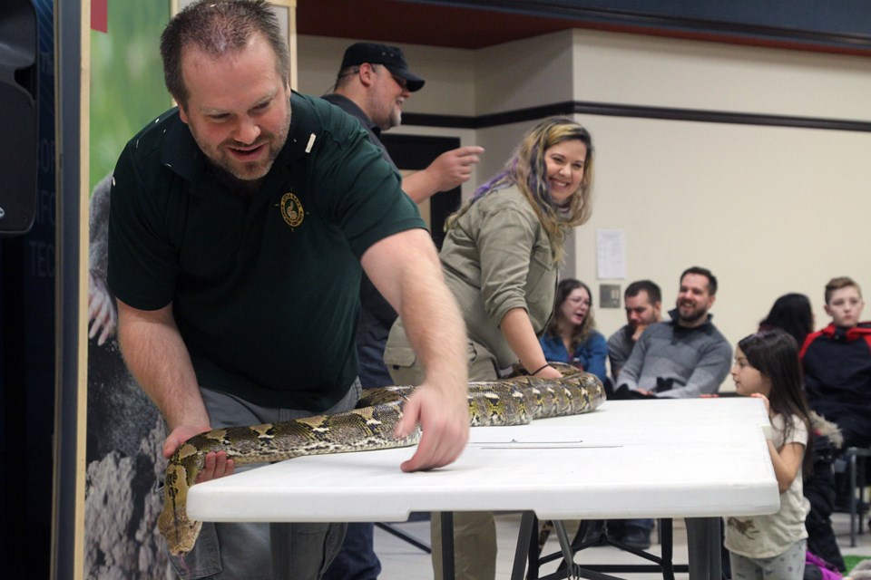 Little Ray's Reptile Zoo animal handler Tyler Maybee works with Penelope, a reticulated python, during a show at Victoriaville on Friday, January 4, 2019. (Matt Vis, tbnewswatch.com)
