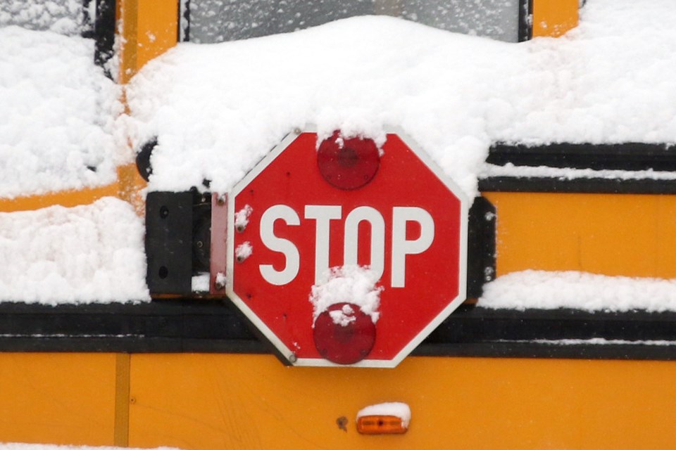 School Bus Snow 2