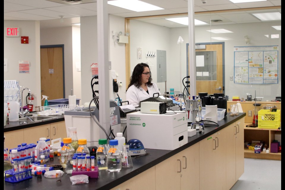 Canada Research Chairs at Lakehead University are looking at new technologies in making cancer screening and cardiovascular procedures safer as well as cleaner energy and chemicals using wood products. 