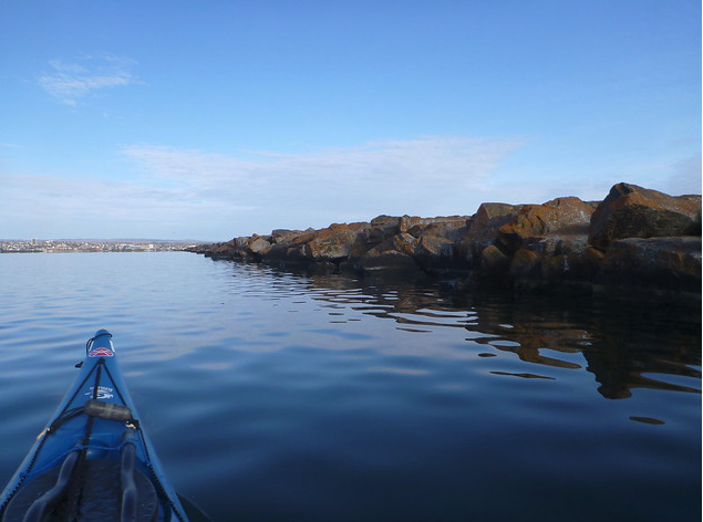 harbour cleanup