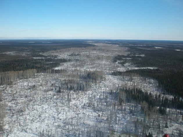 Sand ridges such as this could be part of a future road to the Ring of Fire mineral zone in Northwestern Ontario (photo courtesy Moe Lavigne/KWG)