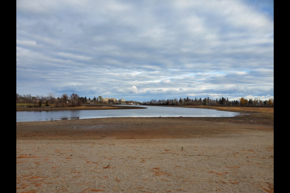 This was the water level on  Boulevard Lake on Monday. It has been allowed to rise somewhat, but it's only temporary (Tbnewswatch)