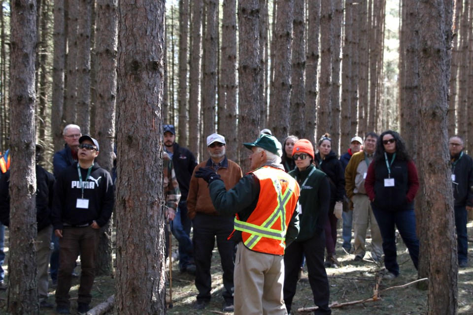 Mac Squires (middle), a former forester for Abitibi Forest Products, leads a tour of the  Ministry of Natural Resources and Forestry tree farm during the Ontario Professional Foresters Association annual conference.  (Photos by Doug Diaczuk - Tbnewswatch.com). 