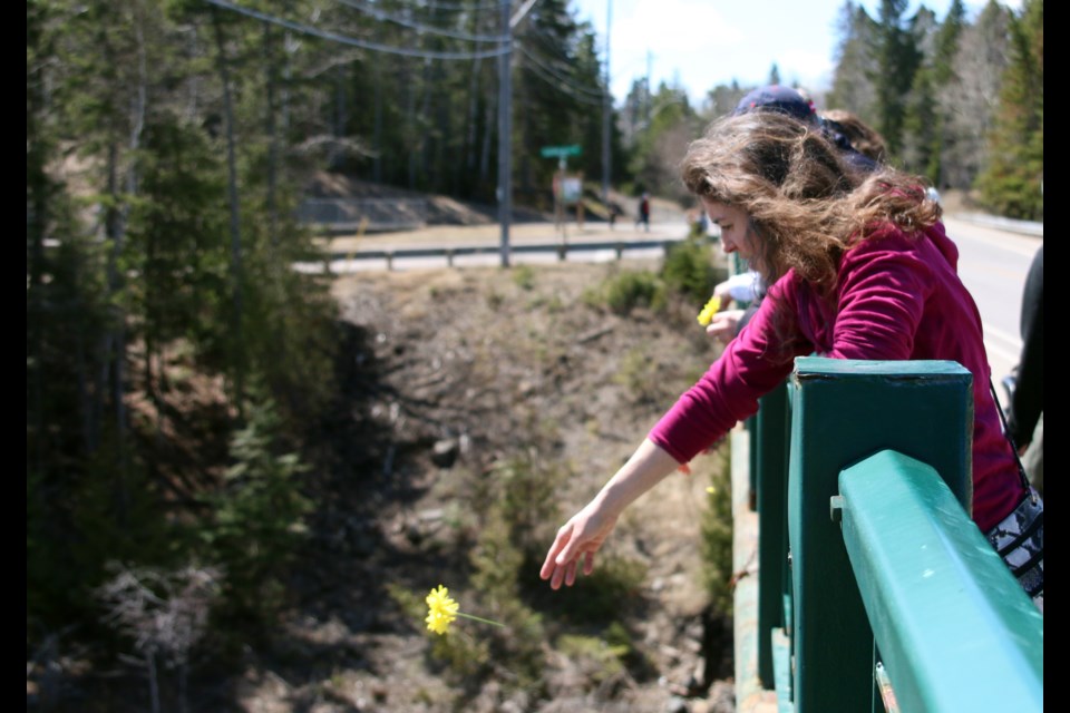 Walkers released flowers from the Black Bay Bridge in honour of a lost loved one during the 8th Annual Hike for Hospice on Sunday. (Photos by Doug Diaczuk - Tbnewswatch.com). 