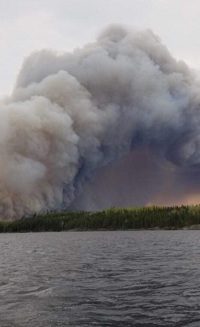 Forestfire1
