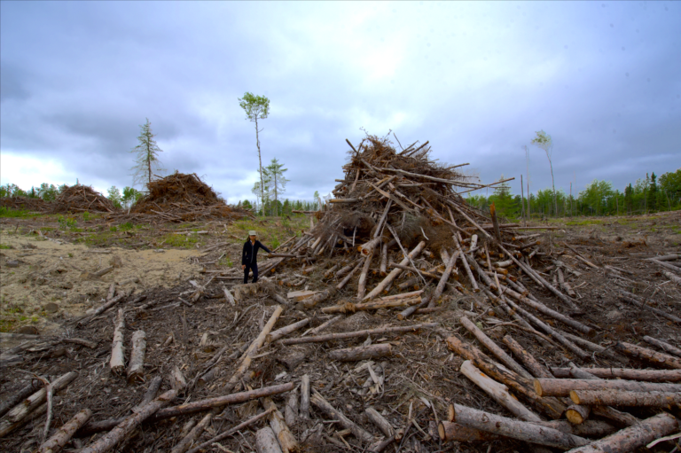 The Wildlands League says the practice of dragging trees to roadside and leaving waste piles contributes to a growing legacy of scarred areas (submitted photo)