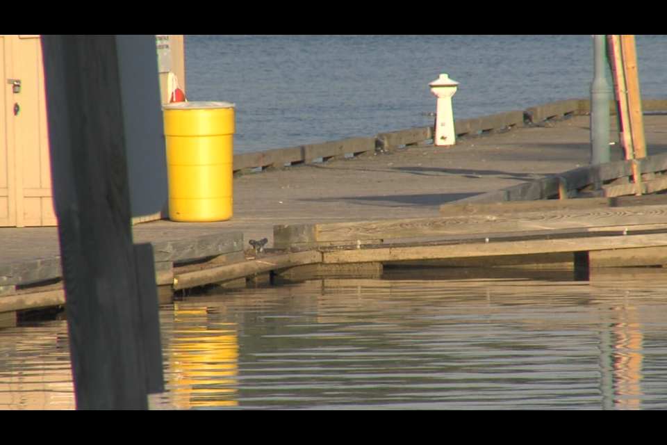 Nipigon Mayor Richard Harvey hopes the water level might drop enough before freezeup to minimize damage to the main dock (Adam Riley/TBTV)