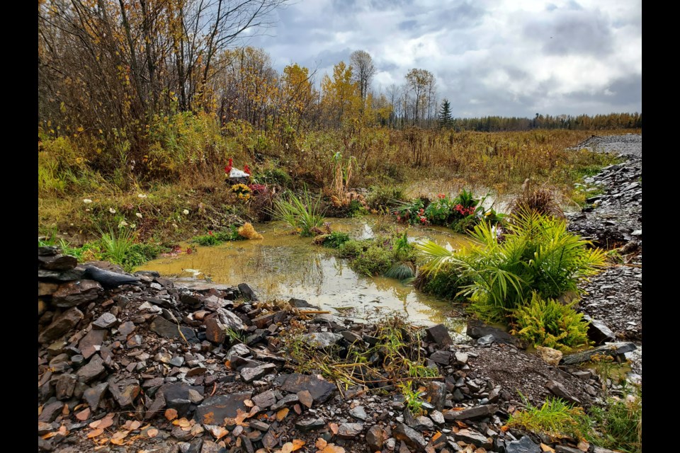 Visitors to Thunder Bay's landfill site recently spotted what appeared to be the start of a water garden (submitted photo)