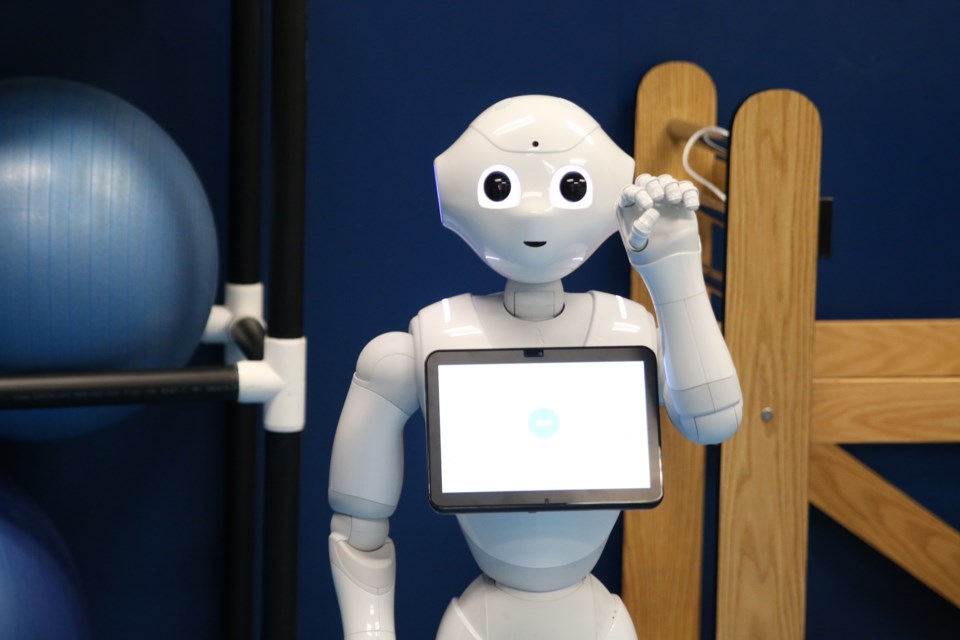 Pepper, a robot being designed by researchers at the University of Minnesota, could change how the elderly are cared for in the near future. (Photos by Doug Diaczuk - Tbnewswatch.com). 