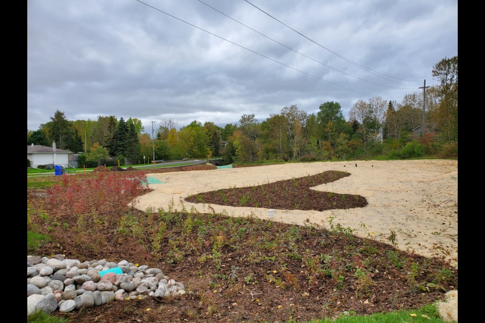 The Hinton Avenue urban raingarden is almost complete (tbnewswatch.com)