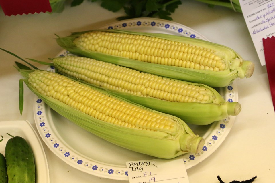 Hymers Corn