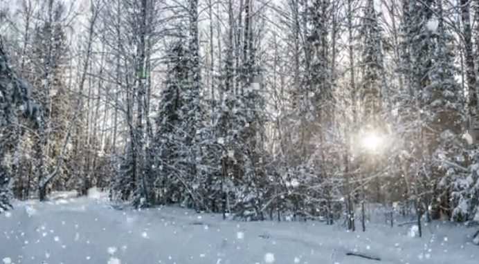 Snow
