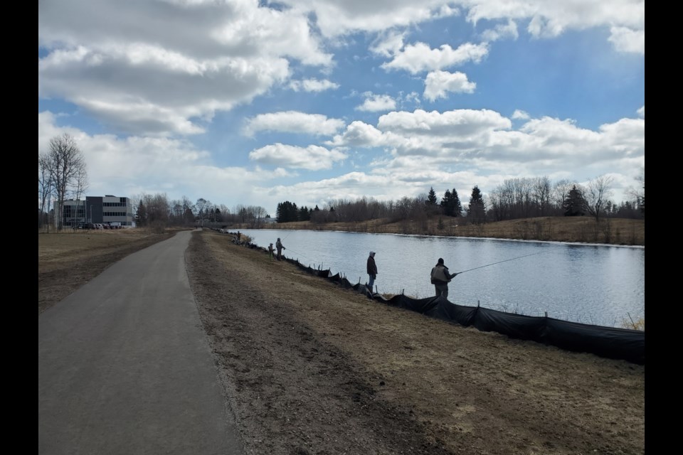 Anglers have been fishing for steelhead recently in Thunder Bay's Neebing-McIntyre Floodway (Tbnewswatch)