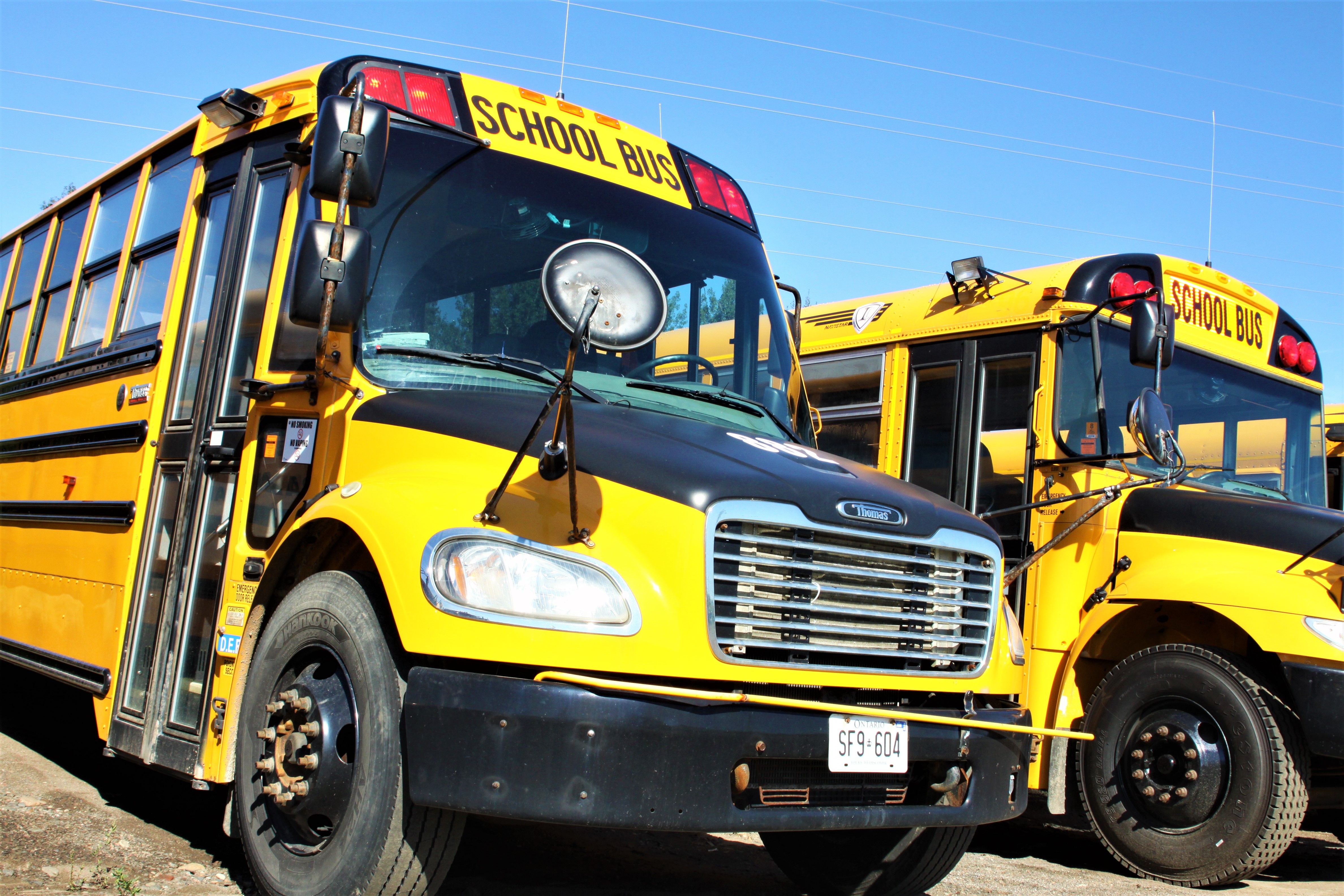 Scdsb bus on sale
