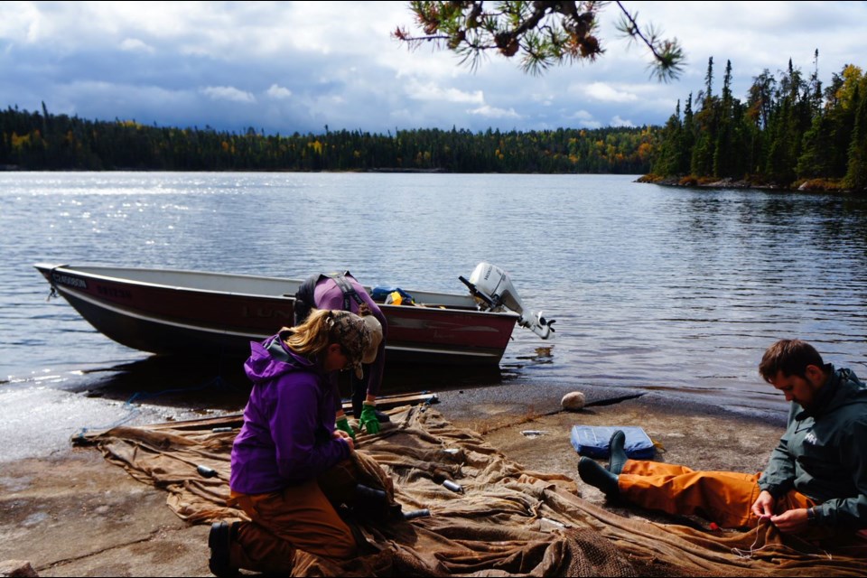 IISD-ELA scientists are shown mending trap nets in the Experimental Lakes Area in 2020 (IISD-ELA photo)