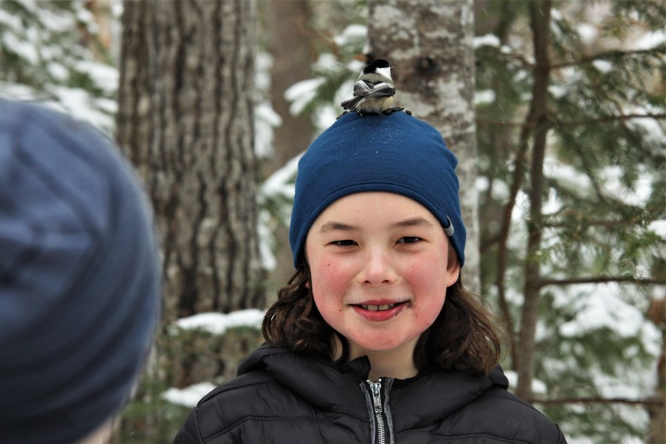 An attendee enjoys Chickadee Landing at the Kingfisher outdoor education centre's 50th anniversary open house on Saturday. (Photos by Ian Kaufman, tbnewswatch.com)