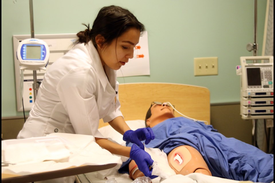 New Program Choices For Nursing Students In Ontario TBNewsWatch new-program-choices-for-nursing-students-in-ontario-tbnewswatch