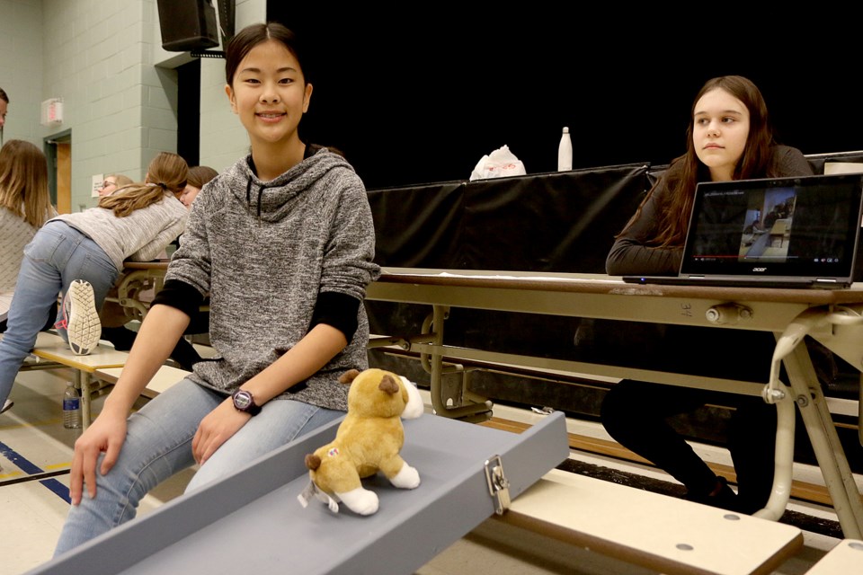 Sophie Petteplace, 13, a Grade 8 student at Pope John Paul II School, on Wednesday, Feb. 12, 2020 demonstrates her folding six-foot ramp that aging pets can use to navigate stairs or climb into vehicles. (Leith Dunick, tbnewswatch.com)