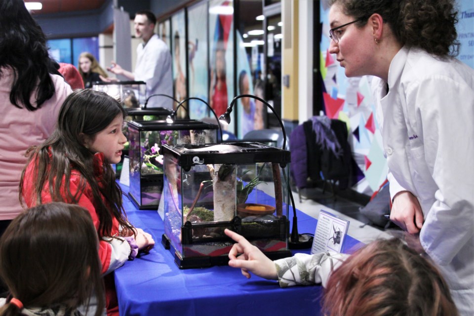 A volunteer at the Entomica Insectarium exhibit answers questions at Science North's science carnival at Victoriaville Mall Saturday. (Photos by Ian Kaufman, tbnewswatch.com)