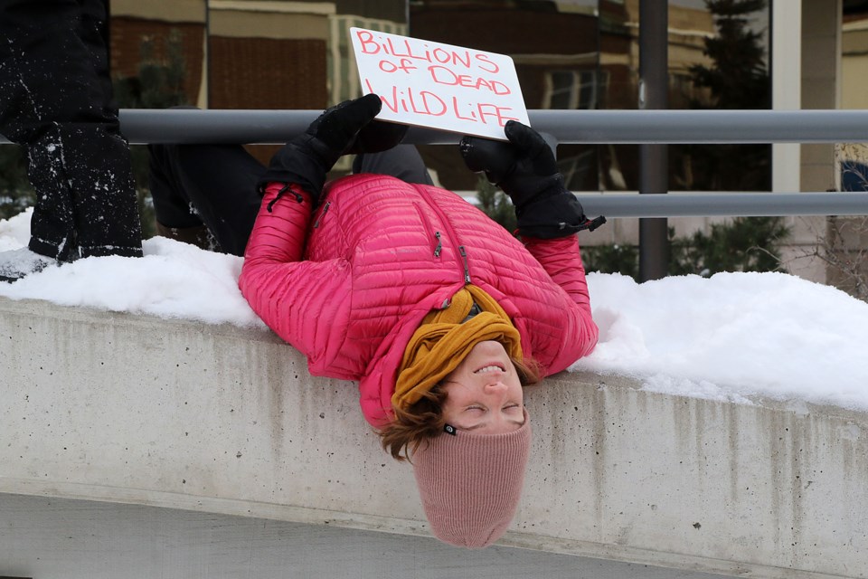 Kelsey Agnew Climate Emergency