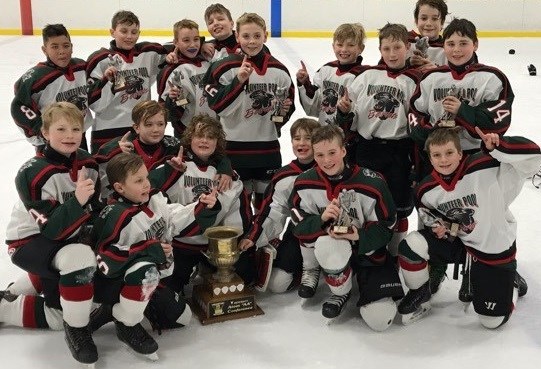 The VP Bearcats won the Atom AA division in the Robin's minor hockey classic. (Submitted photo)