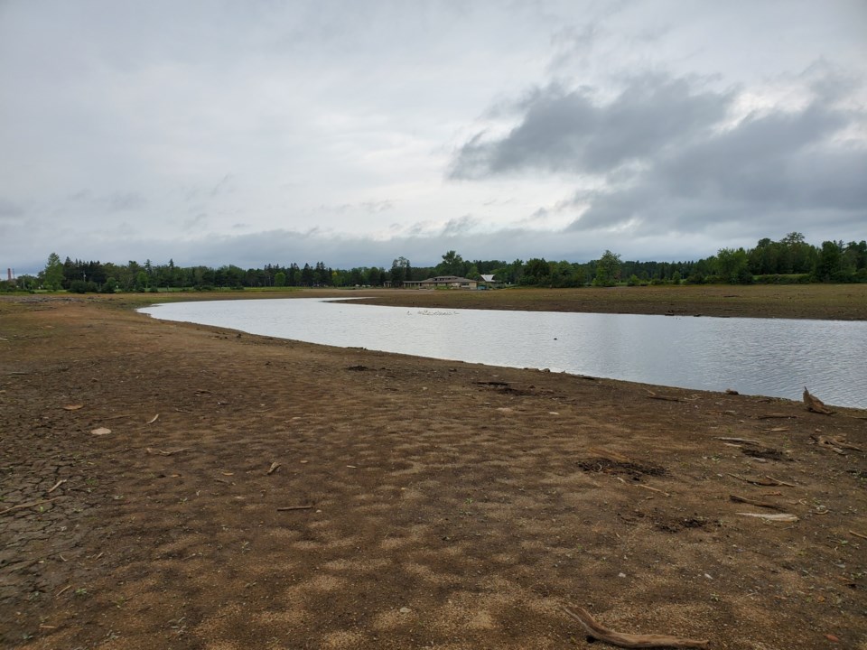 Boulevard Lake debris