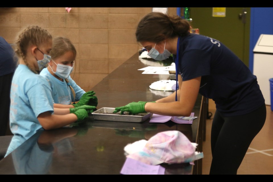 Grade 1 and 2 students dissect a grasshopper during the Superior Science Summer Camp. (Photos by Doug Diaczuk - Tbnewswatch.com). 